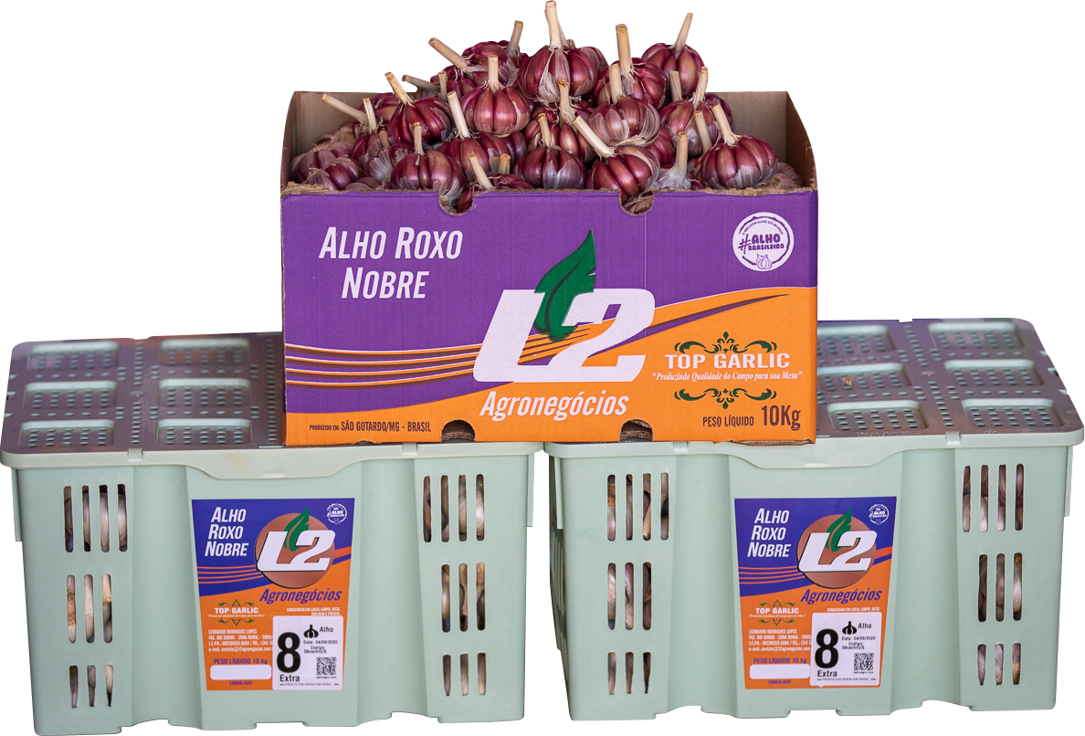 rastreabilidade-alho-2